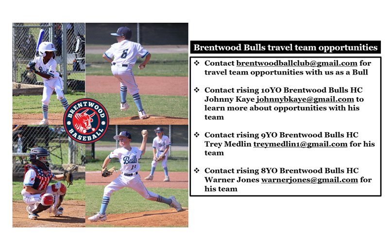 Brentwood Bulls